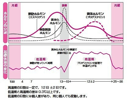 生理前体温高い