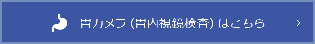 胃カメラ（胃内視鏡検査）はこちら